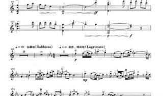 月亮代表我的心歌谱 月亮代表我的心歌谱